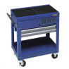 ALYCO - CARRO TALLER LIGERO ALYCO METALICO