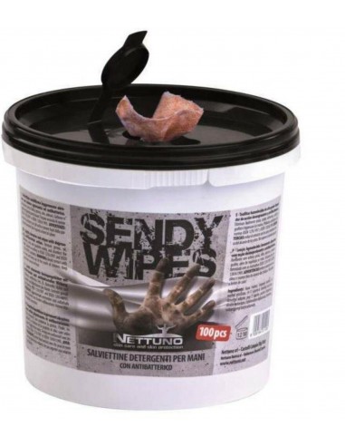 CUBO TOALLITAS SENDY WIPES 100...